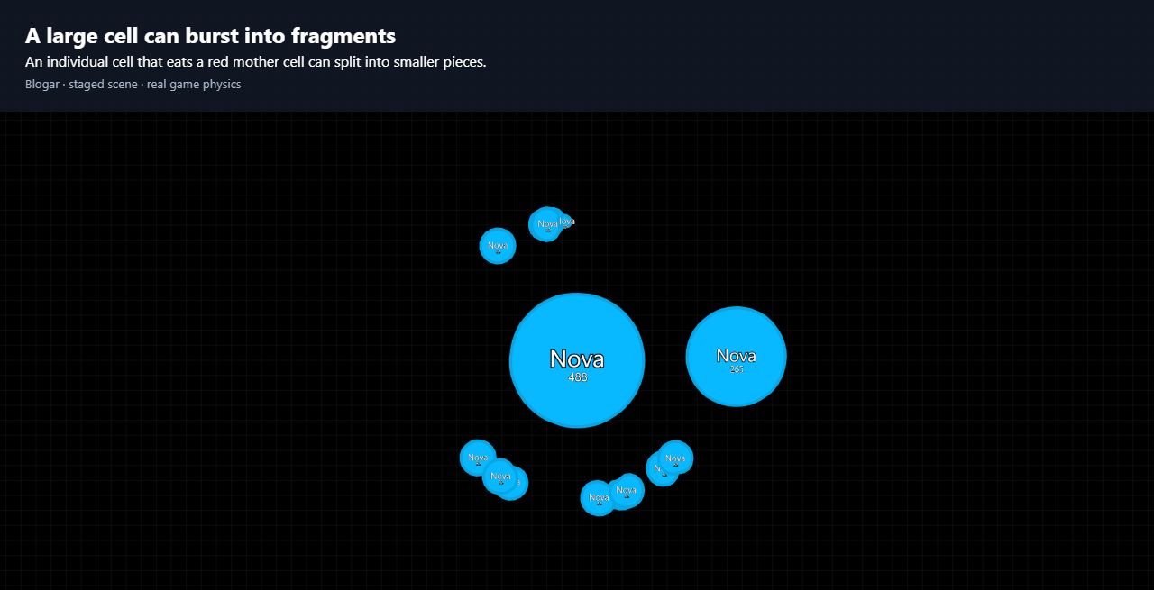A large player cell has split into fragments after eating a red mother cell in Blogar