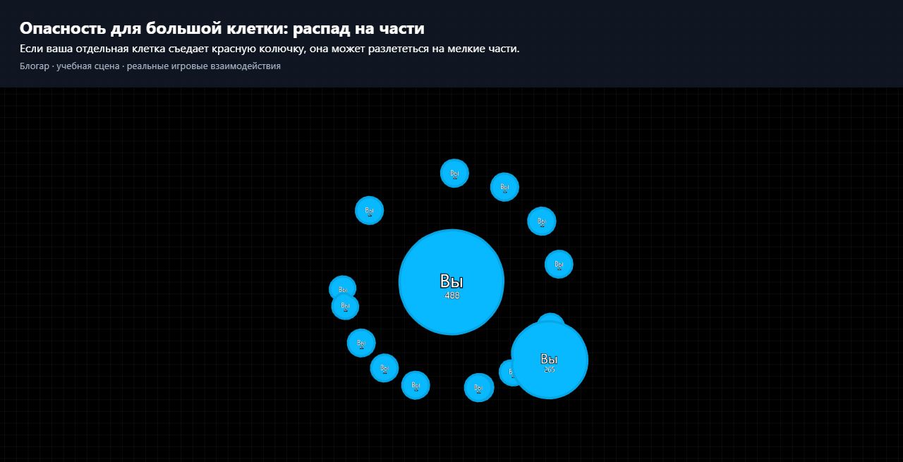 Большая клетка игрока распалась на части после того, как съела красную колючку в Блогаре