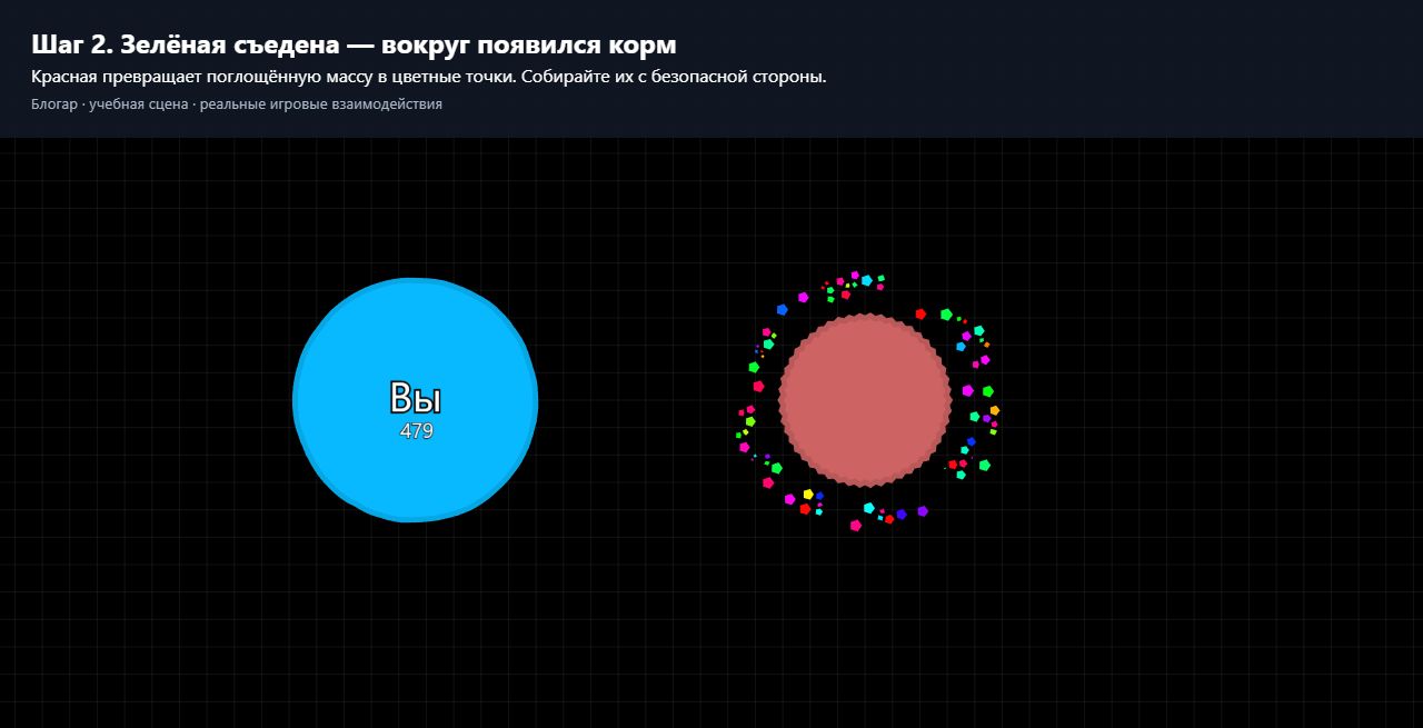 Зелёная колючка поглощена красной, вокруг материнской клетки появился цветной корм
